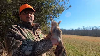 How to Gut a Rabbit Barehanded