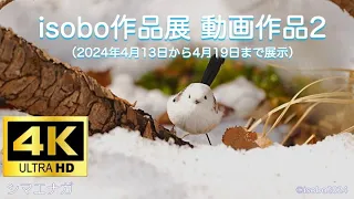 [4K] isobo作品展　動画作品2  Hokkaido Kawaii Animals2