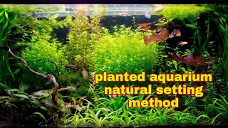 planted aquarium/natural aquarium/aqua Scape in Malayalam/nano planted aquarium