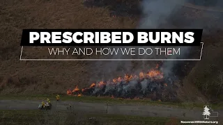 Prescribed Burns: Why and How We Do Them