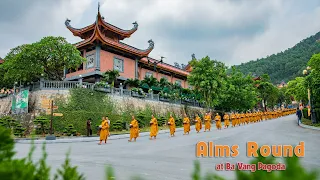 🔴 Alms Round | Ba Vang Pagoda