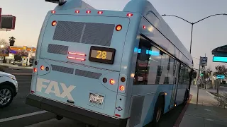 FAX bus observations