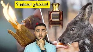 شاهد استخراج 20 نوع من أنواع العطور😱المسك والعنبر والعود😍 عطر الورد وخشب الصندل ..الخ