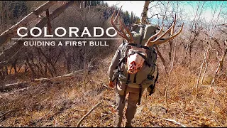 COLORADO Elk Hunt - Guiding A First Bull