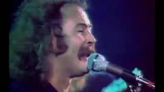 Crosby Stills Nash Young - Almost cut my hair (CSNY 1974)