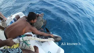 We rescued a turtle and two sharks from a fishing net  in the Maldives!