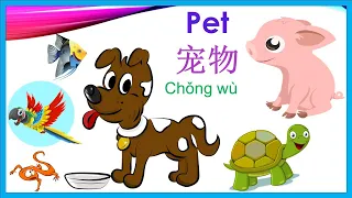 How to say pet in Chinese(Chinese Pet song 宠物歌included)宠物