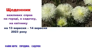 Щоденник важливих справ на городі, в садочку, на квітнику 13-14 вересня 2023 року