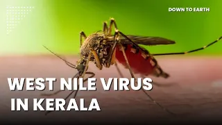 Kerala is on high alert as West Nile Virus cases reported from Kozhikode, Thrissur, Malappuram