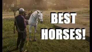 Top 5 BEST HORSES to Own in Red Dead Redemption 2 Online