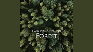 静かな森の中で (forest)