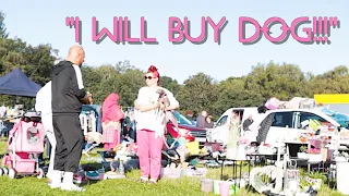 Carboot King - I Will Buy Dog 🤣