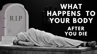 What Happens to Your Body After You die