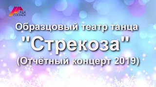 Образцовый театр танца "Стрекоза" (Отчётный концерт 2019)