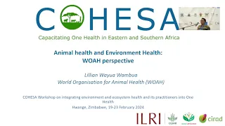 Animal health and Environment Health: WOAH perspectives