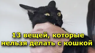 ЧТО нельзя делать с кошкой (13 вещей)