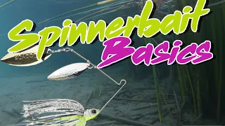 Bass Fishing Basics: How To Fish A Spinnerbait