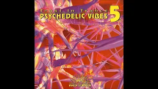 VA -  Psychedelic Vibes 5 1999 (Full Album)