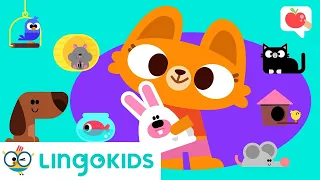 PETS FOR KIDS 🐾🐕😽🐠 | VOCABULARY, SONGS and GAMES | Lingokids