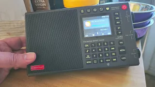 Choyong LC90 seems to be a good smart internet radio and does have great audio