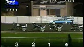 1994 Meadowlands Pass - Cam's Card Shark & John Campbell