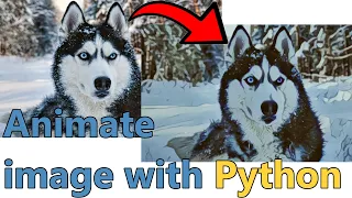 Animate any image, video or webcam stream with Python and AnimeGAN