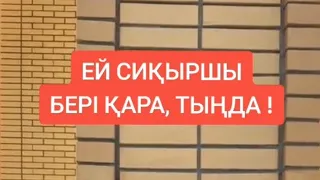 СИҚЫРШЫ. СИҚЫР ЖАСАУ КҮНӘ! ИЛЬЯС БАУЫРЫЫМЗҒА КӨМЕК КЕРЕК. ЖАМАНШЫЛЫҚ ЖАСАҒАН  АДАМ САҒАН ЕСКЕРТУ.