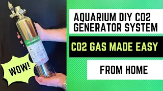 DIY ZRDR CO2 Generator System for Planted Aquarium