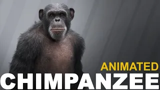 CG Chimpanzee Animation