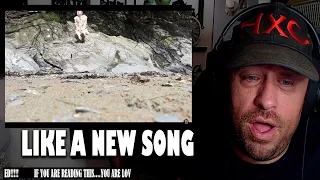 I'm Gonna Be (500 Miles) - The Proclaimers (Janet Devlin Cover) REACTION!