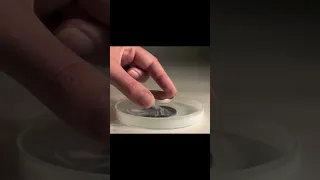 Amazing superconductor experiment #shorts #science #sciencefacts #amazingfacts  #experiment