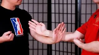 Dan Chi Sau aka Single Hand Chi Sau | Wing Chun