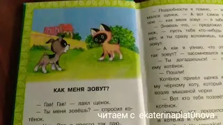 Котëнок по имени Гав. Как меня зовут? Читаем детям.