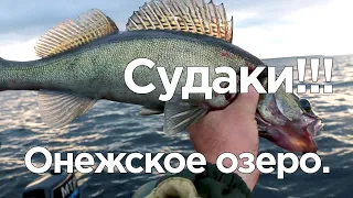 Судаки. Онежское озеро.