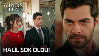 Why did Zeynep attend the party with Orhan? | Winds of Love Episode 34 (MULTI SUB)