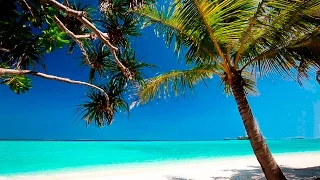 Calming Music - HD Beach Relaxation