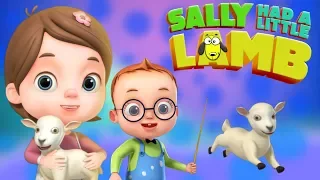 Sally Had a Little Lamb | Baby Ronnie Rhymes | Videogyan 3d Rhymes | Nursery Rhymes & Kids Songs