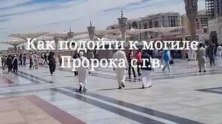 Как попасть к могиле Пророка صلى الله عليه و سلم