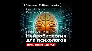 Курс нейробиологии для психологов простым языком