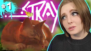 CUTEST CAT GAME EVER | Stray Part 1: INSIDE THE WALL | First Playthrough