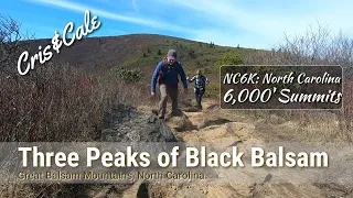 Black Balsam Knob | Tennent Mountain | Sam Knob | NC6K | NC 6,000 Foot Summits | Art Loeb Trail