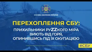 Перехват СБУ: поклонники руZZкого мира воют от горя, оказавшись под их оккупацией!