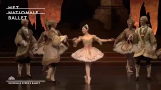 Maia Makhateli Sleeping Beauty Rose Adagio