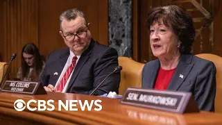 Senate panel holds hearing on Chinese spy balloon | full video