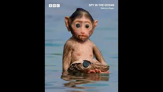 SPY IN OCEAN - TRAILER Narrated by David Tennant