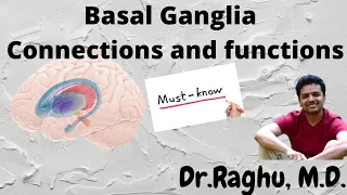 Basal Ganglia - Connections and Functions  | Neurophysiology