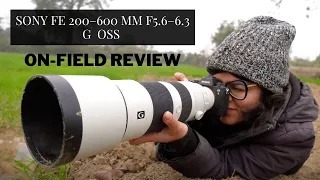 Sony FE 200–600 mm F5.6–6.3 G OSS Review | Field Test