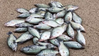 Catching  Limits Of Spawning Crappie Fishing With Floats... Slip Cork Chronicles