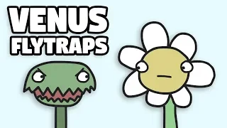 Venus Flytraps Are Weird...