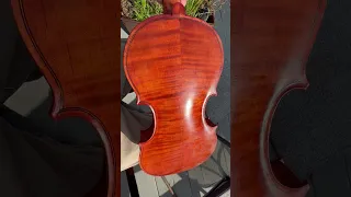 Violin Varnish